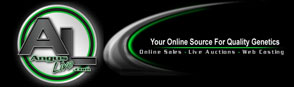 Live Auctions.tv